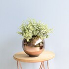 Arranjo De Folhagem Artificial No Vaso Bronze P | Formosinha